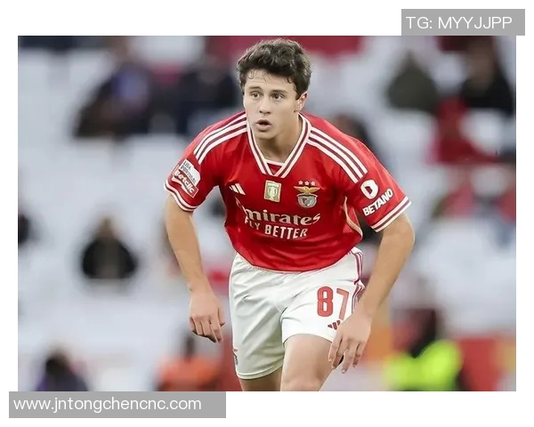 若昂内维斯的足球之路从青涩少年到闪耀赛场的传奇旅程