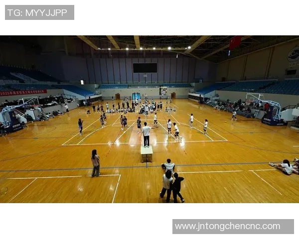 南京排球队的速度之谜：揭秘排球巨献背后的训练与激情